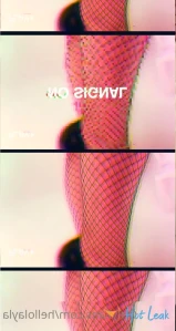 10402113