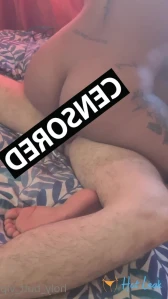10399556