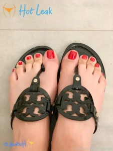 11636538