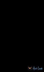 10397404