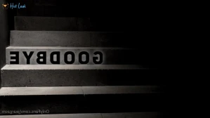 10381808