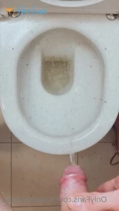 10375203