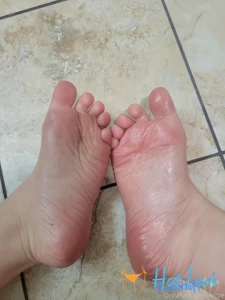 11553271