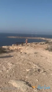 10371010