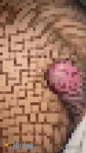 10365941