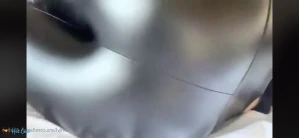 10346802
