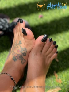 11548559