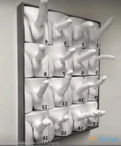 8462542