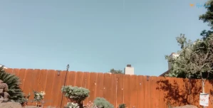 10309158