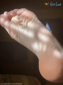 8458311