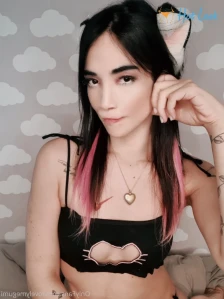 8627164