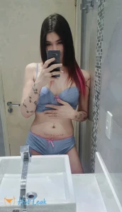 8627173