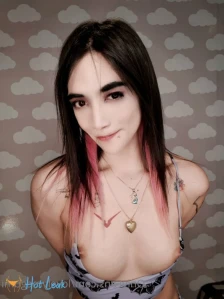 8627423