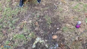 10287072
