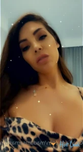 10282691