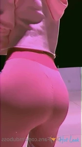 10261761