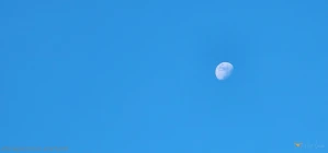 8550776