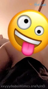 10258196