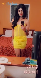 11041858