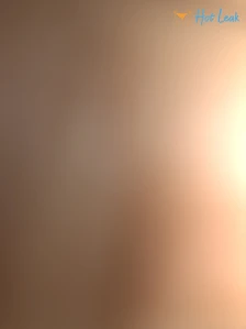 8490902