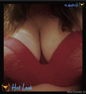 11605157