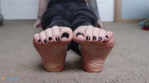 10237058