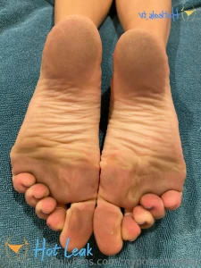 11614262