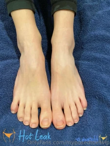 11614278