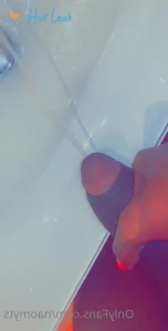 10167081