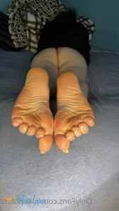 10144204