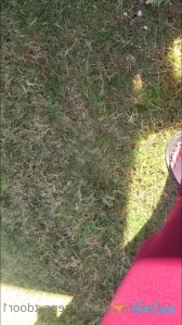 10138434