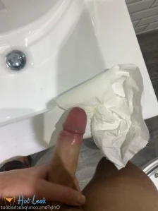 10177619