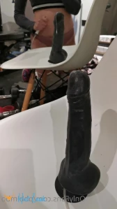 10117679
