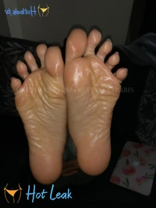 11604782
