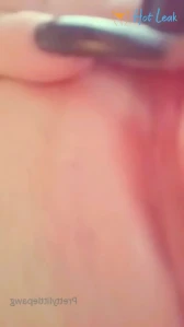 10088239