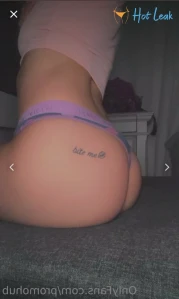 8275213