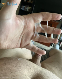 8273255