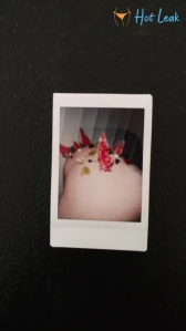 8343104