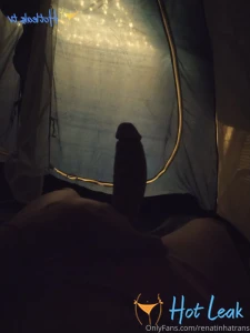 11678550