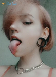 8237733
