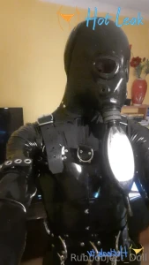 11684621