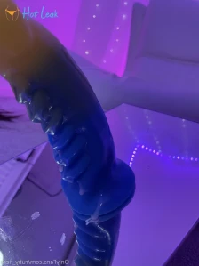 8291306