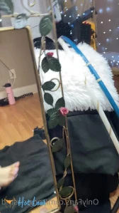 10012638