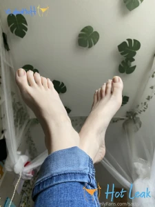 11657761