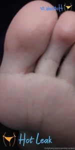 11872946
