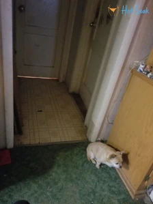 8328847