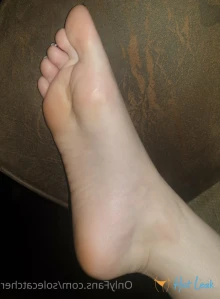 8331600