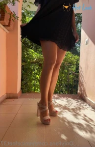 10953165
