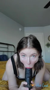 11346254