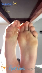 11920267